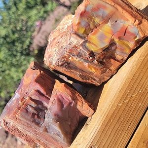 2 pieces Az rainbow petrified wood specimen 3lbs 11oz total